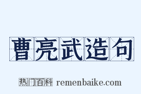 曹亮武造句是什么意思的图片